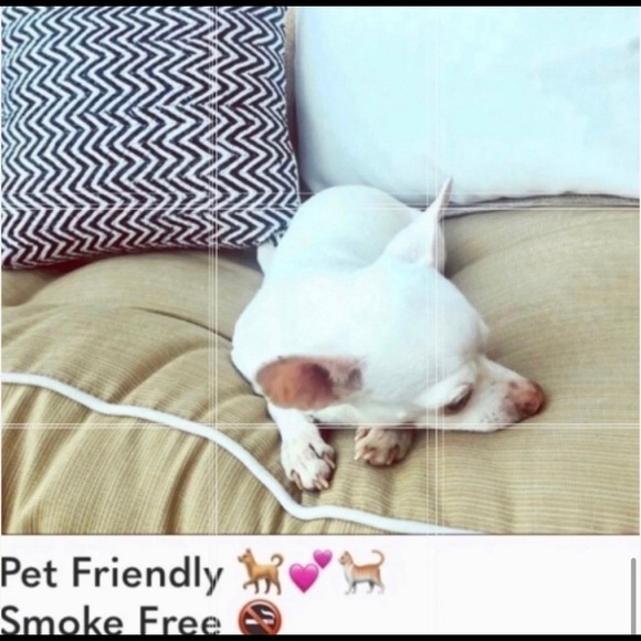 wildfox 💋🦊 NWT Wildfox Tie-Dye Edelweiss Knox Pant only - Picture 12 of 14